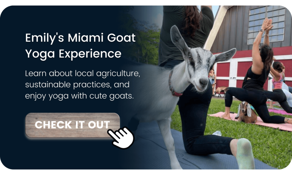Goat Yoga Experience_Miami Florida_The Experience Shoppe_Fun Things to Do (1)