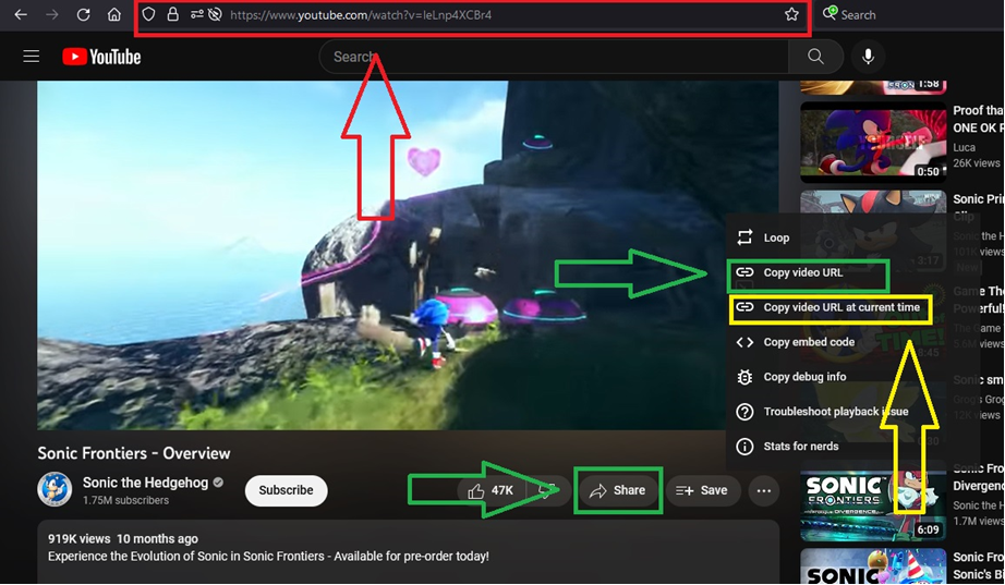 Image showing the YouTube video links now supported for embedding on exploringnotboring.com, which now includes the Browser URL, Share Video URL, and Share Video URL at current time.
